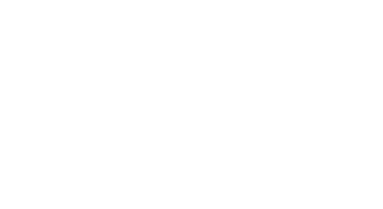 Logo TDM